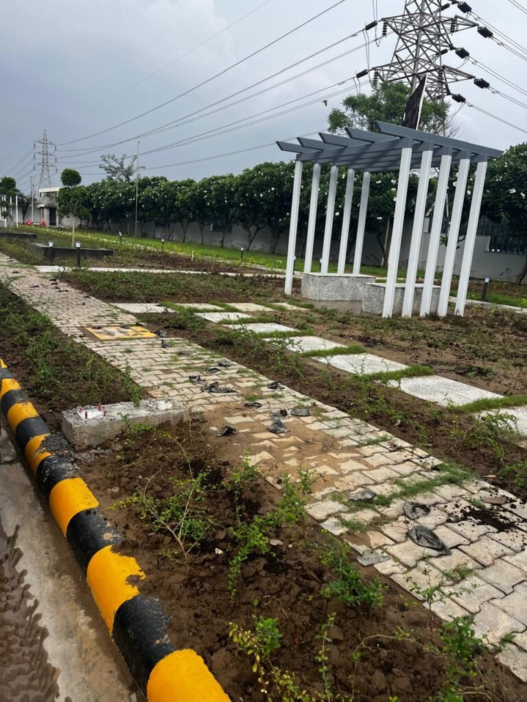 Our Projects fortis garden